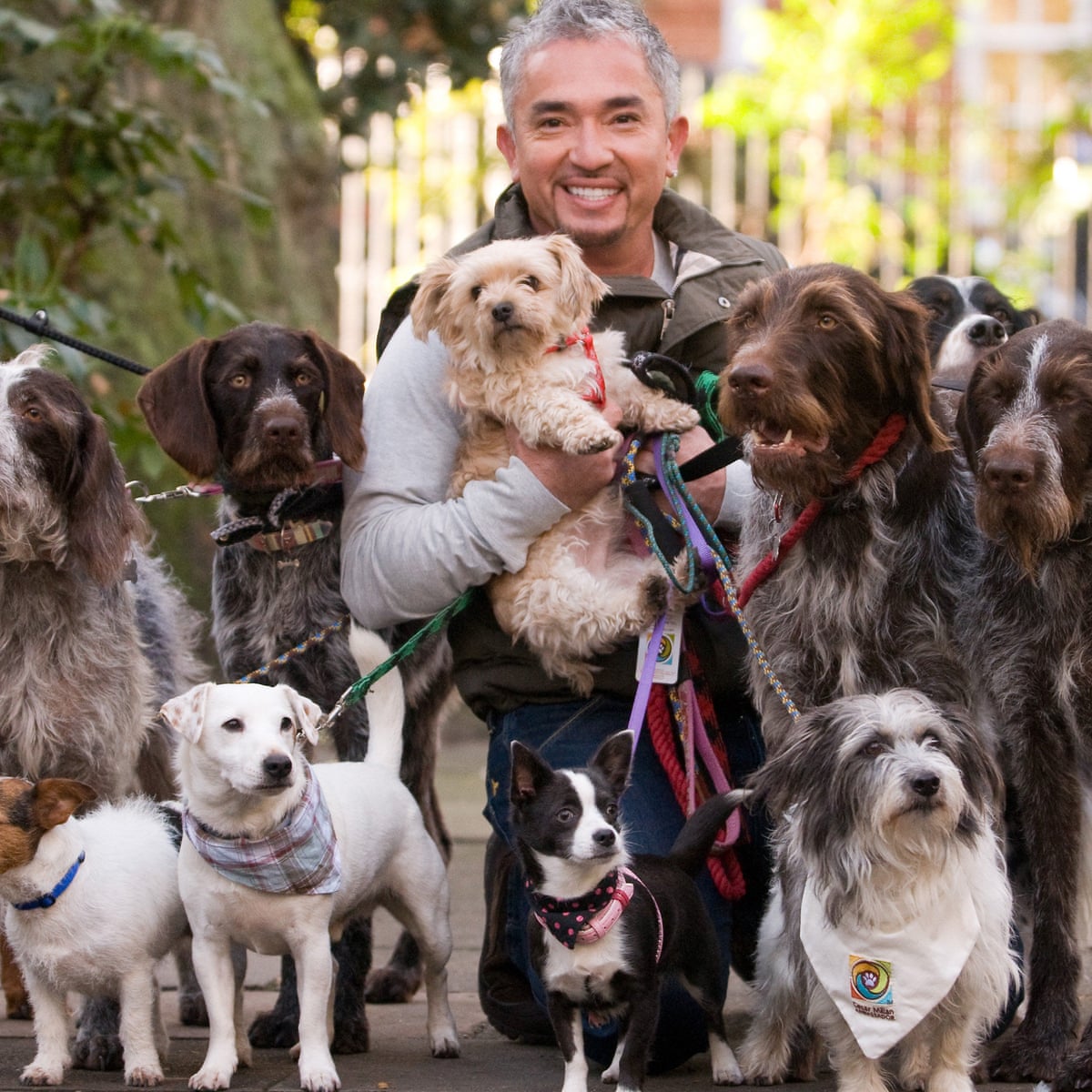 Dog Whisperer Cesar Millan Defends Methods Amid Animal Cruelty Inquiry Life And Style The Guardian