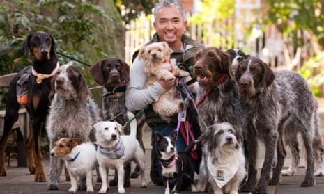 Dog Whisperer' Cesar Millan defends methods amid animal cruelty inquiry | Dogs | The Guardian