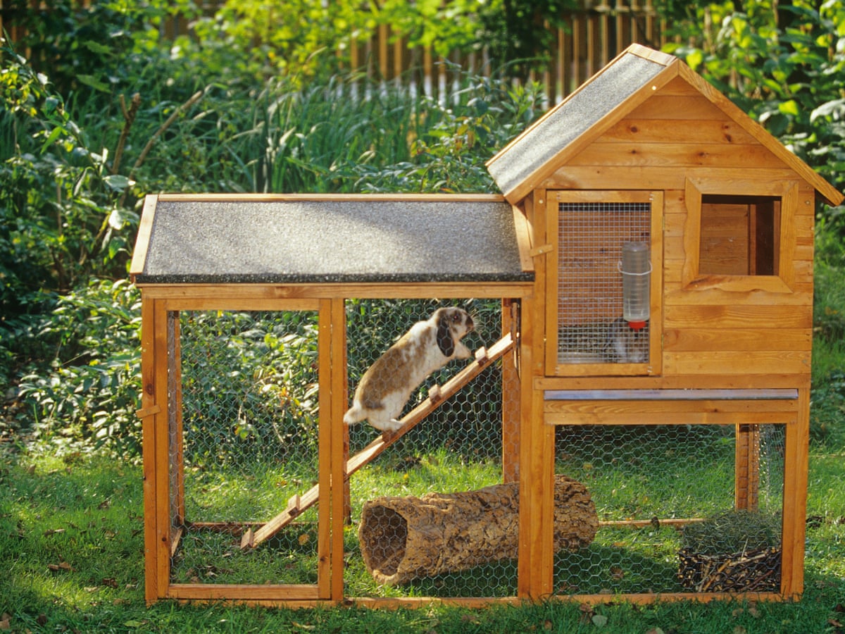 Rabbit Pen | atelier-yuwa.ciao.jp