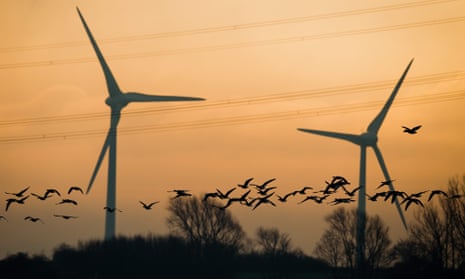 Grey geese fly past wind turbines