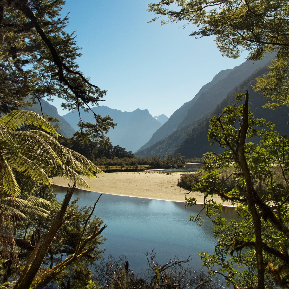 Their Birthright Is Being Lost New Zealanders Fret Over Polluted Rivers Water The Guardian Their Birthright Is Being Lost New Zealanders Fret Over Polluted Rivers Water The Guardian