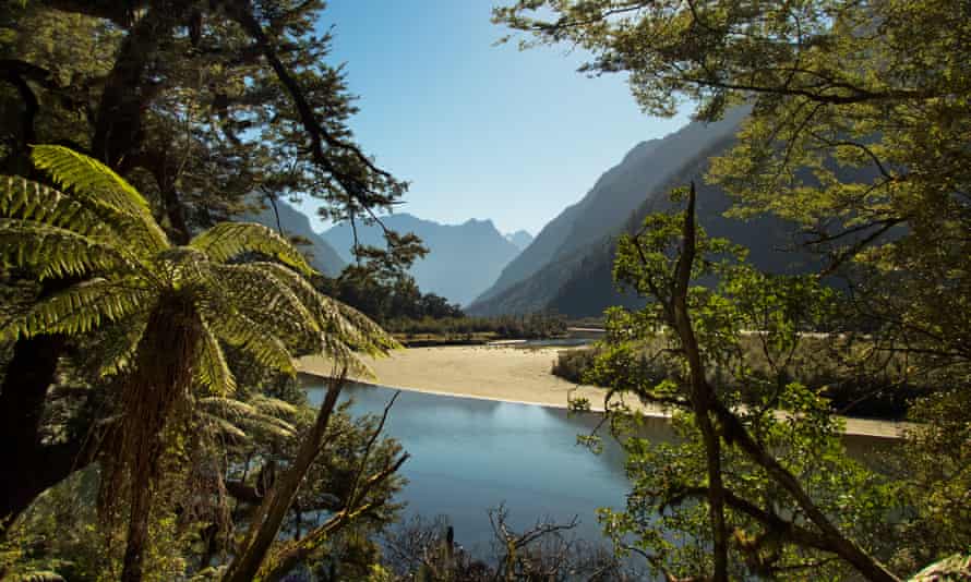Their Birthright Is Being Lost New Zealanders Fret Over Polluted Rivers Water The Guardian Their Birthright Is Being Lost New Zealanders Fret Over Polluted Rivers Water The Guardian
