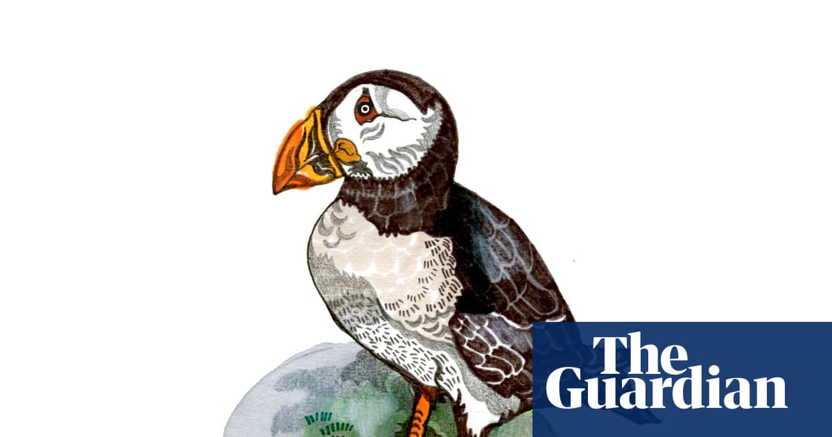 Why do puffins have striped beaks and how does Velcro stick? The kids’ quiz