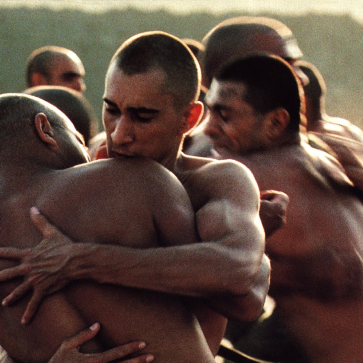 Streaming The Best Of Claire Denis Film The Guardian