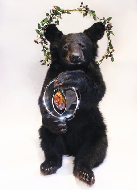 Rogue taxidermy': a misunderstood ethical art form or the next hipster fad? | Culture | The Guardian Rogue taxidermy': a misunderstood ethical art form or the next hipster fad? | Culture | The Guardian