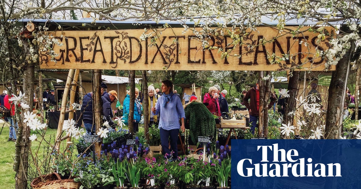 पौधे मेले का सारा मजा: जहां असली माली अपनी खरीदारी करते हैं