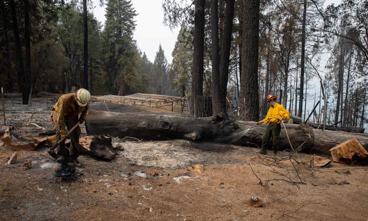 Fire crews battle major wildfires in California, Oregon and Washington (theguardian.com)