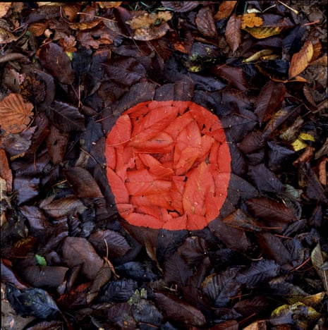 Line 2 Layout Andy Goldsworthy: Fifty Years review – a wild walk between life, death ...