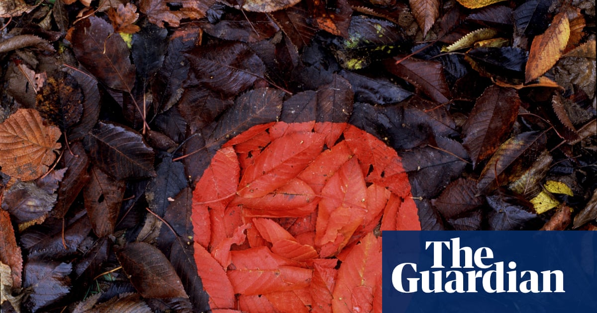 Andy Goldsworthy