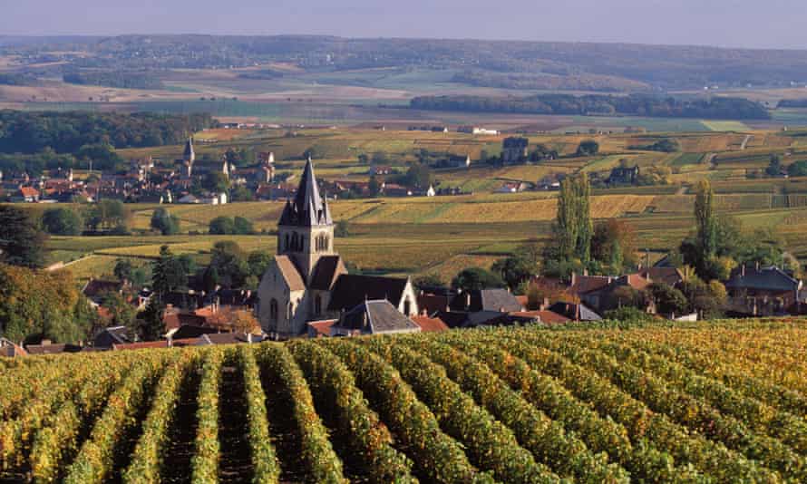 Champagne vineyards in Reims … Robert Walters investigates the business of fizz.