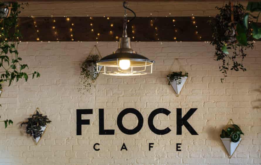 Flock cafe