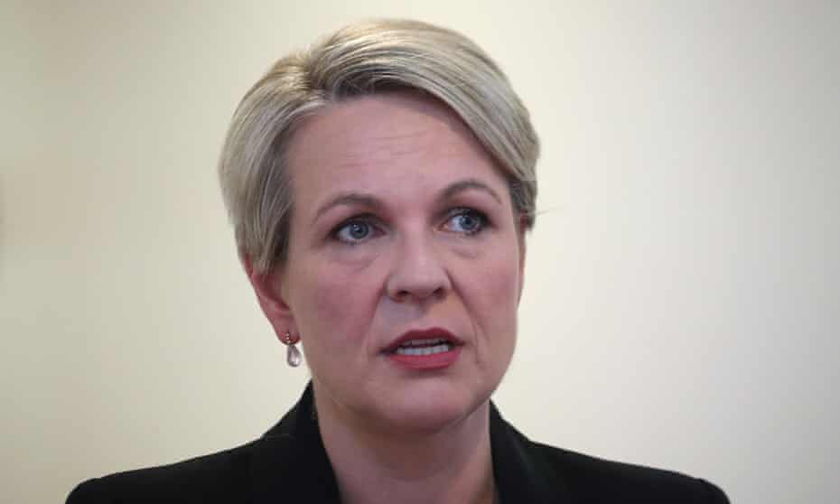 Labor’s shadow education minister Tanya Plibersek says if the government fails to support universities, ‘some could collapse, which would see vital research cut, thousands of jobs lost, and leave students hanging in the middle of degrees’.