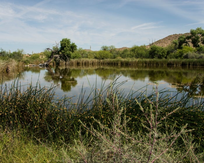 Border Wall Threatens Sacred Spring and Endangered Species in Arizona