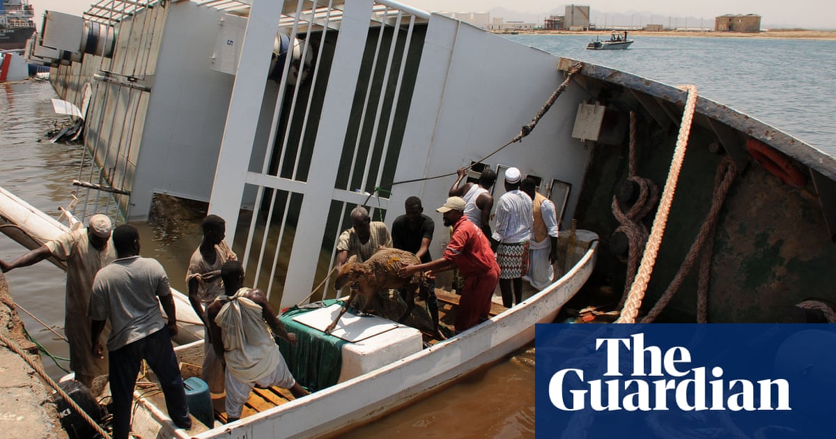 More than 15,000 sheep drown after live export ship sinks in Sudan