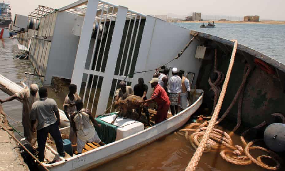 Sheep are rescued after the ship Badr 1 sank in Sudan's Red Sea port of Suakin, drowning most animals onboard, on Sunday