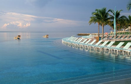 An infinity swimming pool flanked by palm trees