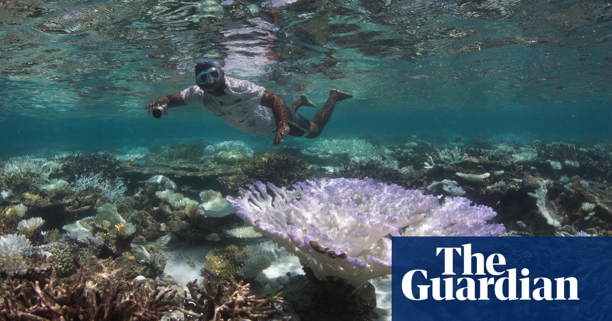 Climate and nature crises: solve both or solve neither, say experts - The Guardian