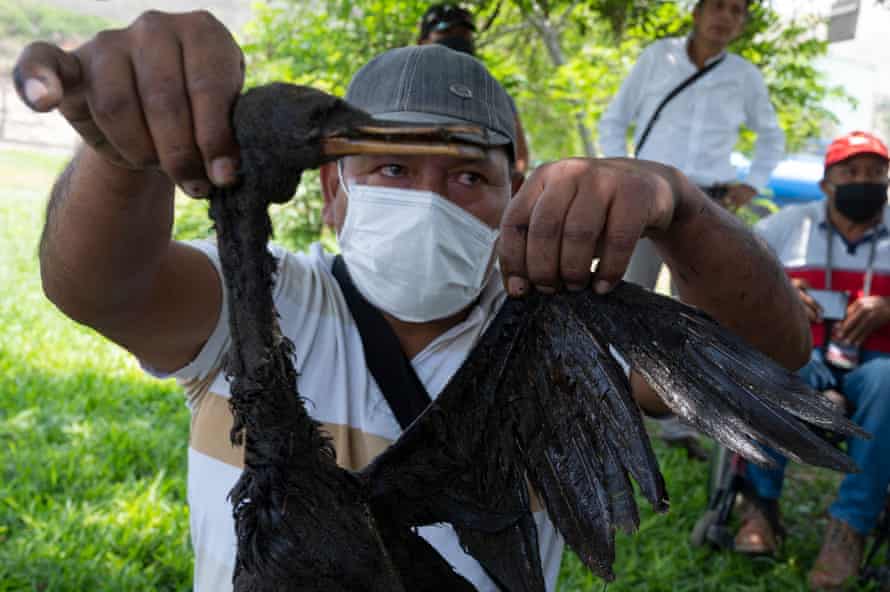 An artisanal fishermen holds a dead bird covered in oil