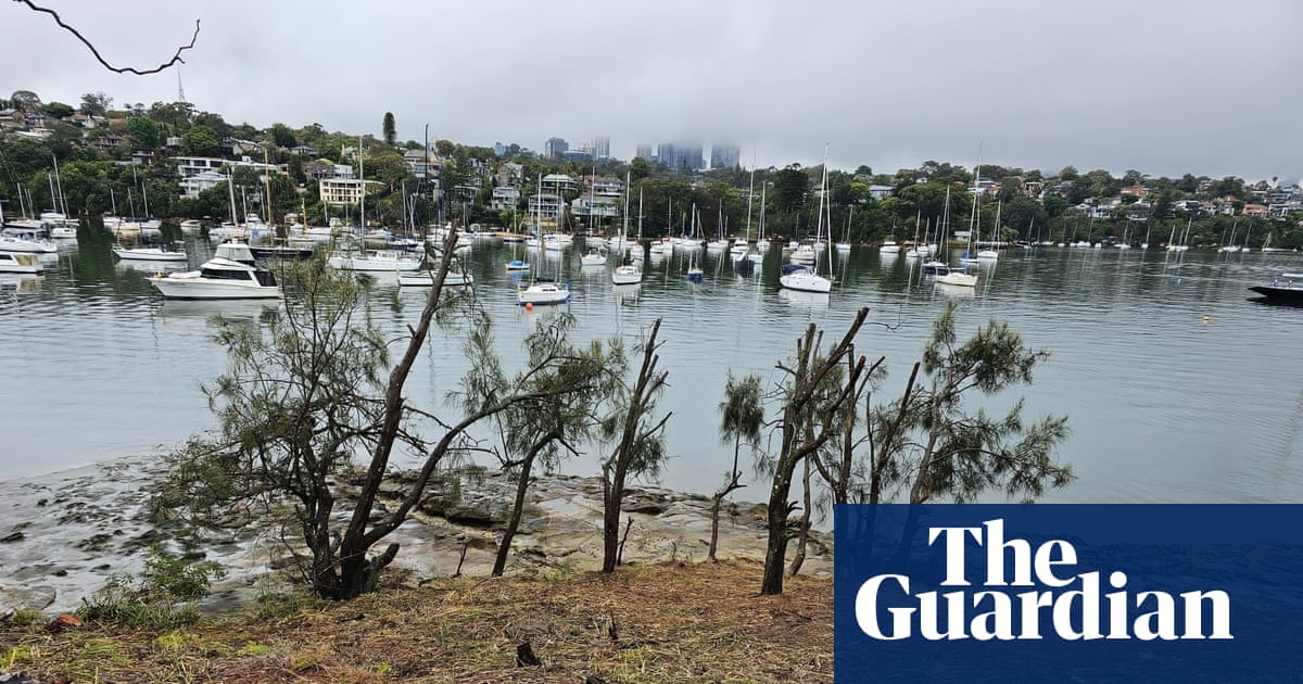 Sydney gardener fined almost $200,000 for removing 287 trees to improve harbourside mansion’s water views