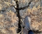 Country diary: This is how bad the heatwave has got for us arable farmers – I’m going on holiday | Colin Chappell