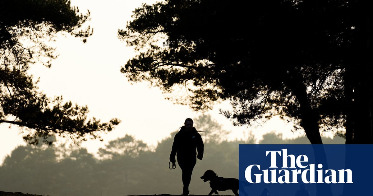 Deluge of dog pee and poo harming nature reserves, study suggests