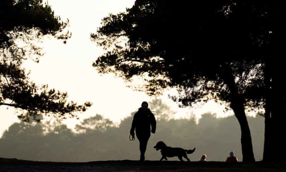 A dog walker in Barossa nature reserve in Camberley, Surrey