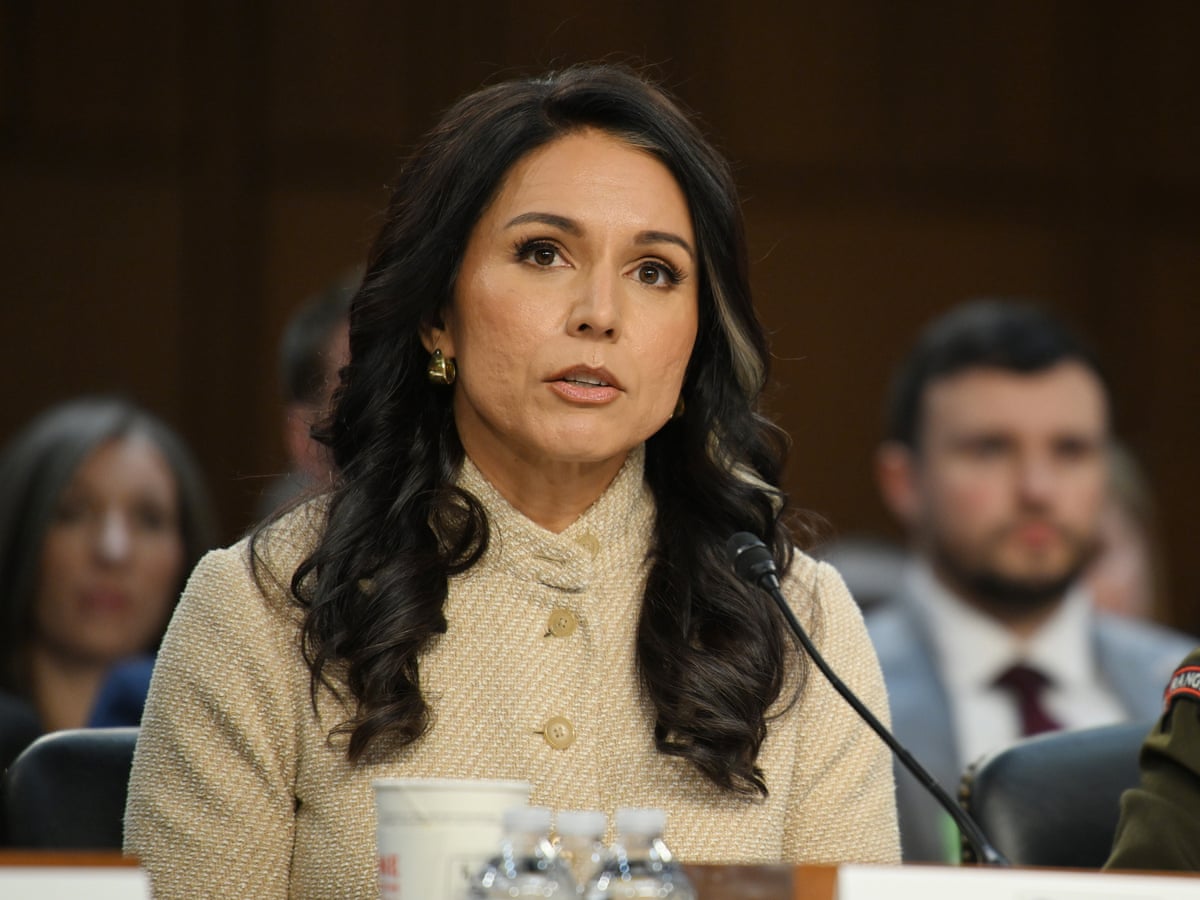 Tulsi Gabbard tells Senate panel US strikes on Iran are strategic success | US-Israel war on Iran | The Guardian