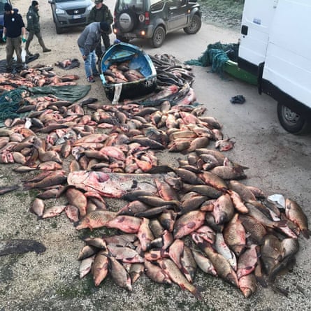 Fish killed illegally and confiscated by authorities in February 2019.