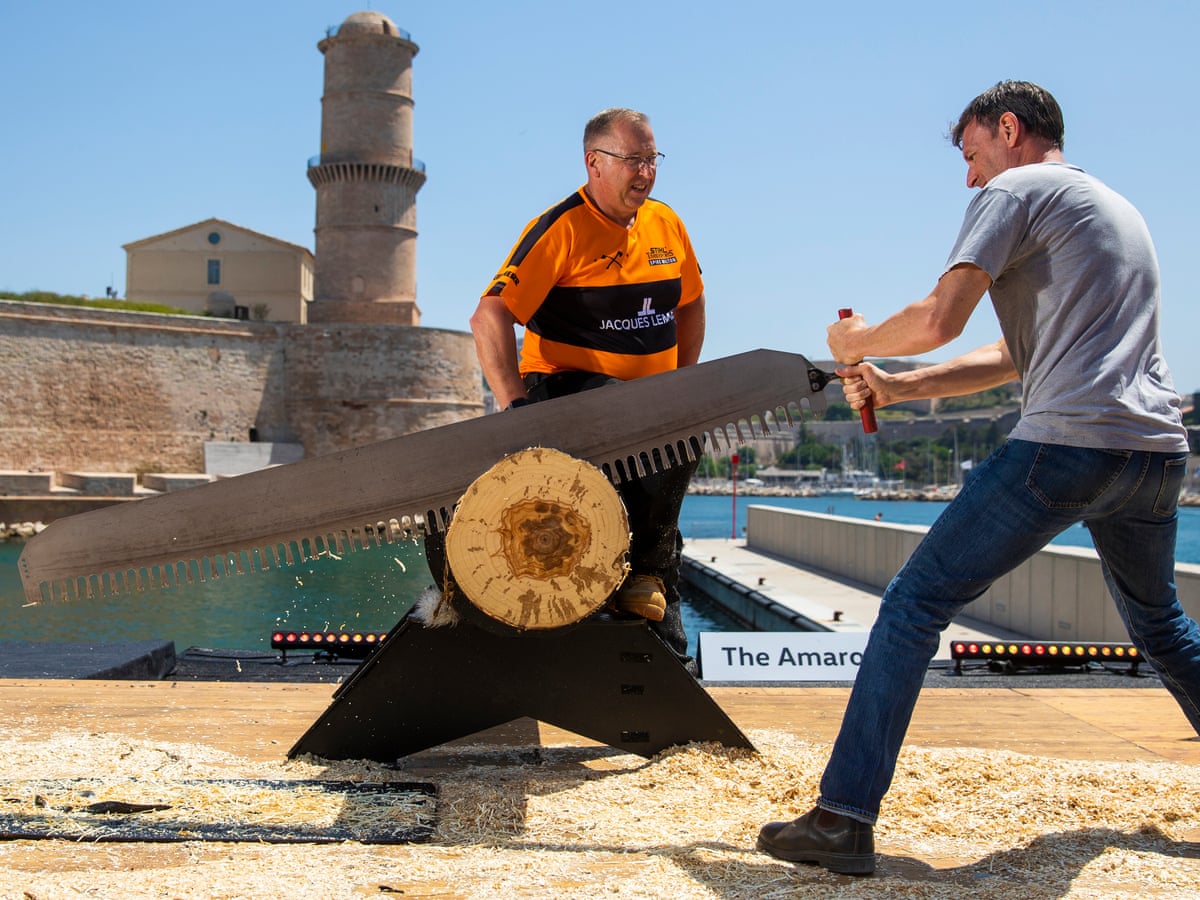 I push the saw. It pushes back': Tim Dowling v the world’s best
