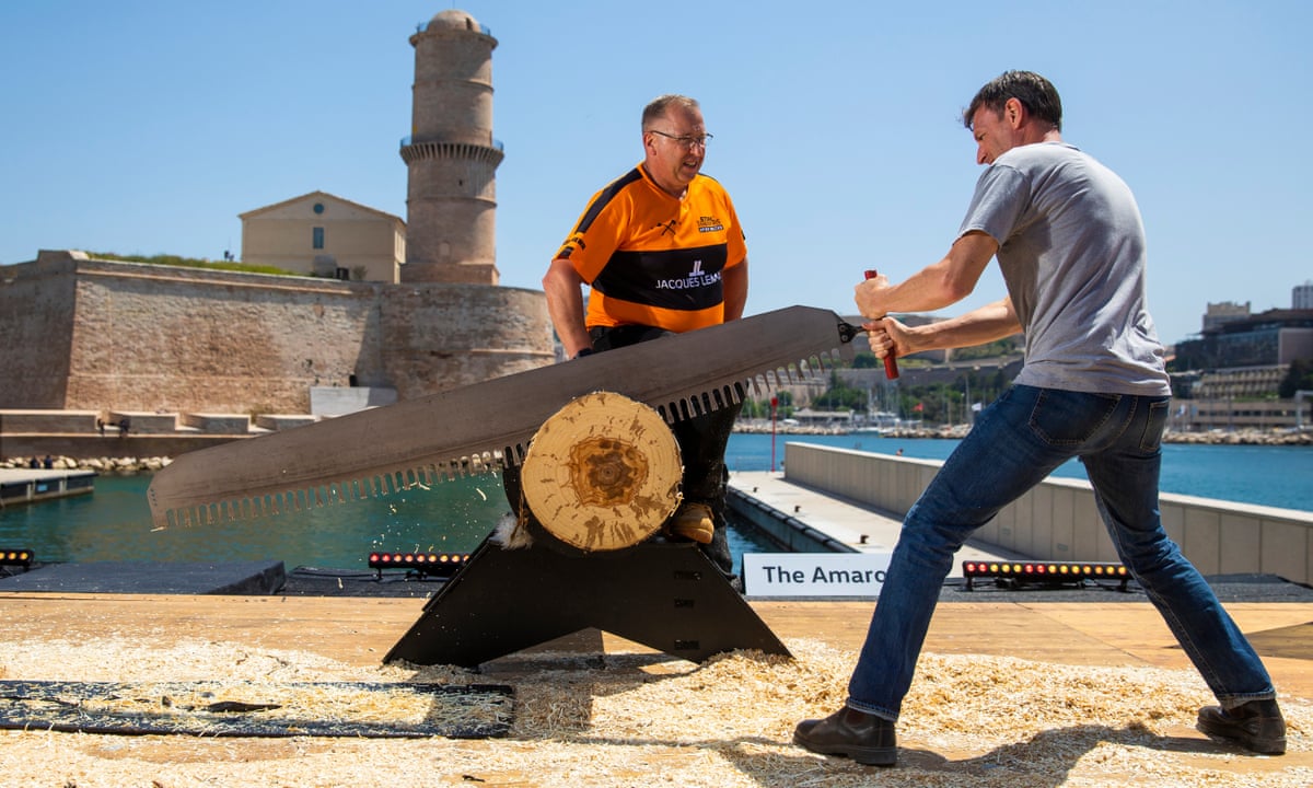 ‘I push the saw. It pushes back’: Tim Dowling v the world’s best