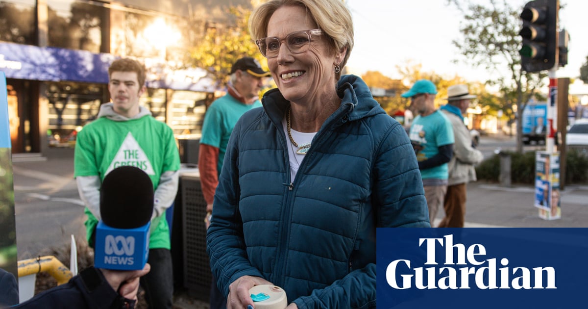 Zoe Daniel requests recount in seat of Goldstein after Liberal Tim Wilson wins with 260 votes