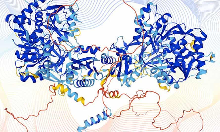 The structure of a human protein modelled by the AlphaFold program.