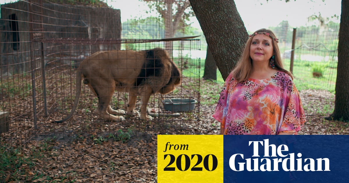 Is Carole Baskin'S Big Cat Rescue Still Open? Find Out Now!