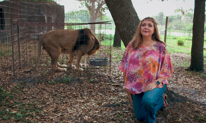 Tiger King What Can We Learn From The New Special Television