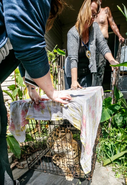 People carrying a cat in a cage