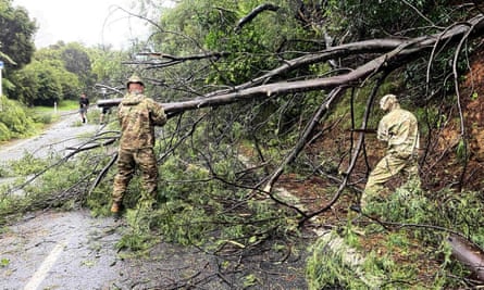 The New Zealand defence force clear fallen trees on Tuesday near Matarangi in the Coromandel area of the North Island.