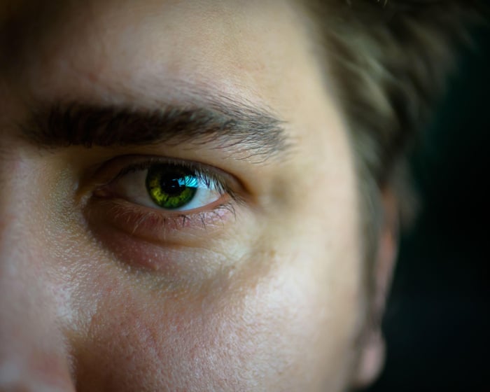 AI study gives insights into why super-recognisers excel at identifying faces