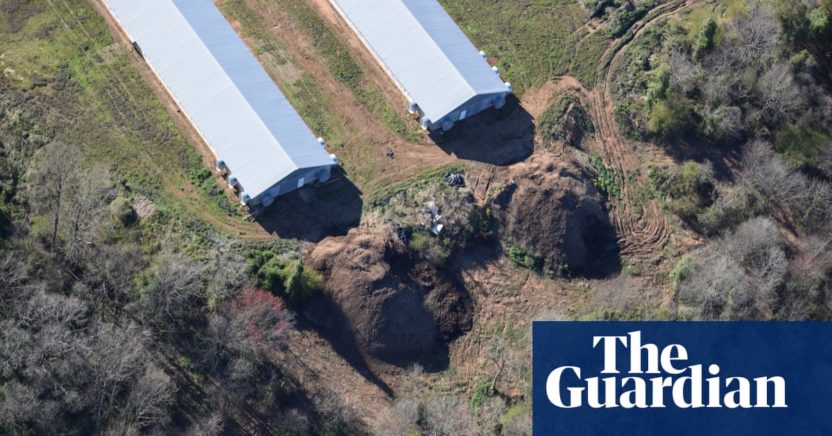 North Carolina allows manure mounds ‘as big as a house’ on factory farms | Chicken | The Guardian