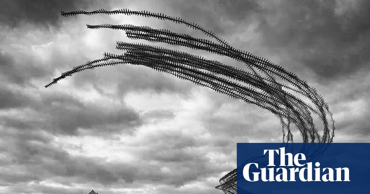 I'd seen this flock of birds flying in circles at the same time each day': Raghuvamsh Chavali's best phone picture