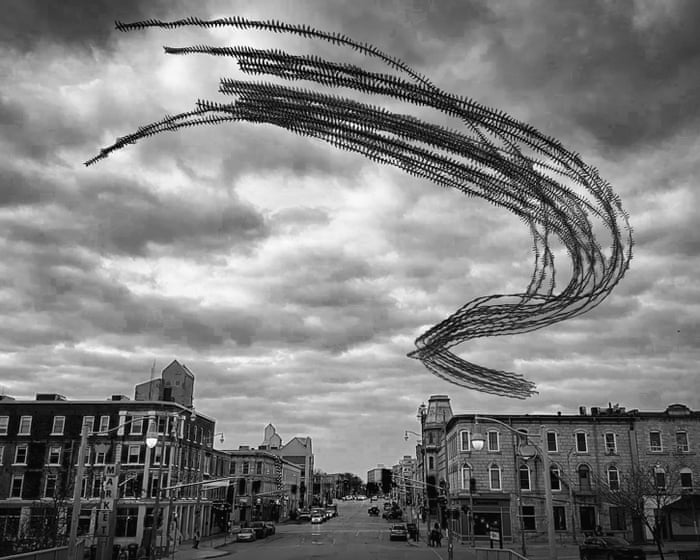 ‘I’d seen this flock of birds flying in circles at the same time each day’: Raghuvamsh Chavali’s best phone picture