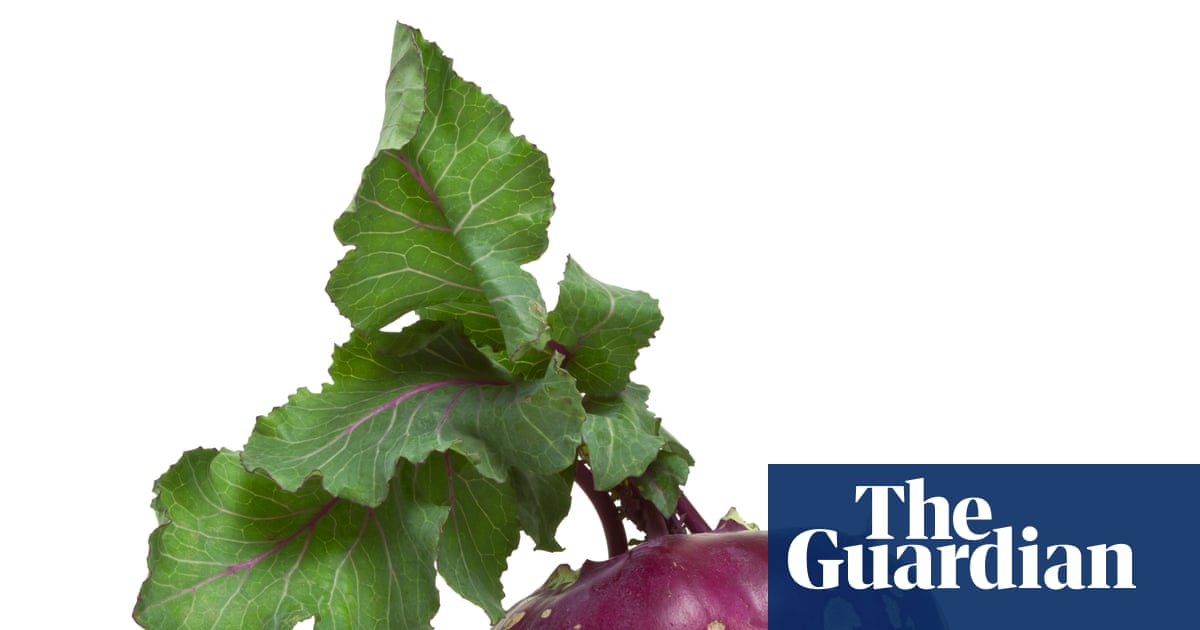 Still confused about swedes and turnips | Brief letters