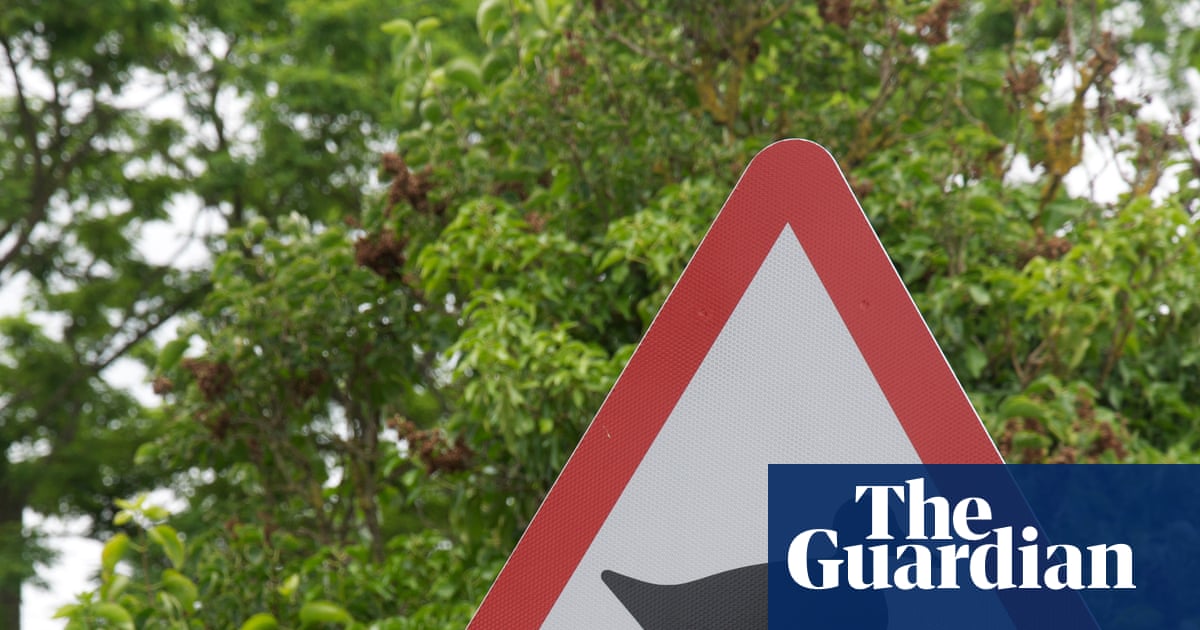 Waddle this way! The sign-making genius who kept Britain’s drivers (and ducks) safe
