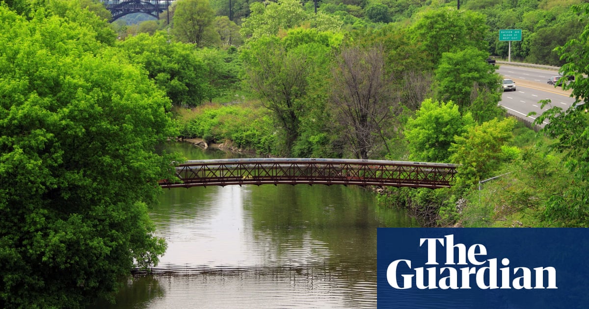 How Toronto’s Don River, once declared dead, is roaring back to life