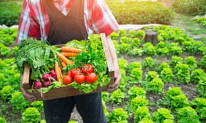 Restaurants can go carbon-neutral by changing the way they grow, ship, cook and dispose of food.