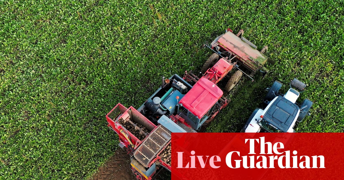 World food prices fall for third month running, as inflation pressures ease business live