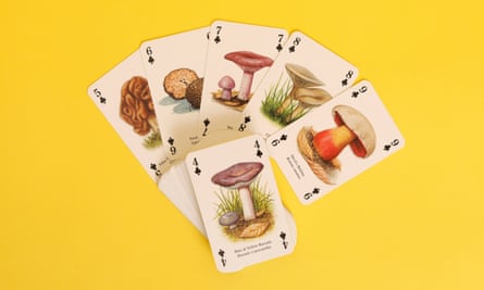 Mushroom playing cards