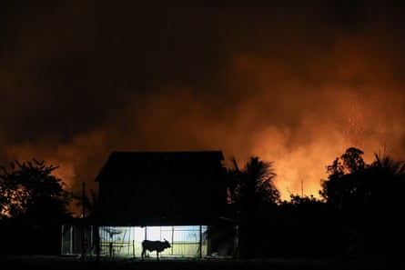 A bull is silhouetted in a lighted barn against a backdrop of a forest fire at night