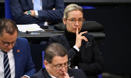 Alice Weidel, an AfD federal party co-leader