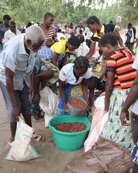 People are divide pulses among themselves at a United Nations World Food Programme food distribution centre in Chikwawa district, Malawi.