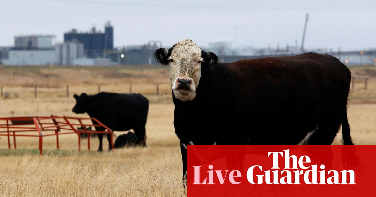 UK walks away from post-Brexit Canada trade talks ‘over hormones in beef’ – business live | Trade policy
